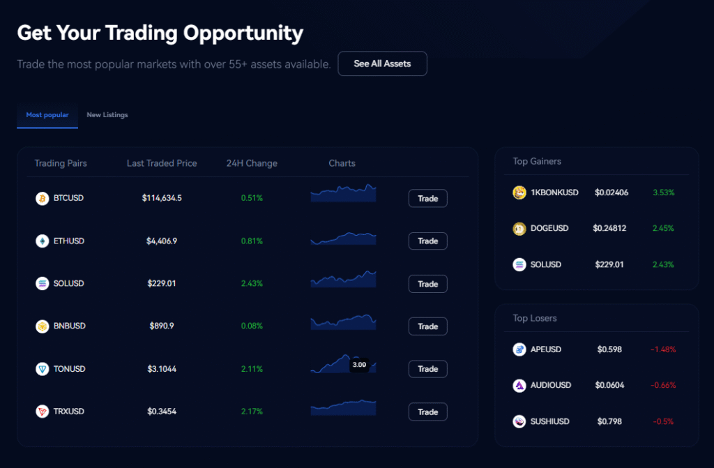 Key Features of Margex: A Complete Review