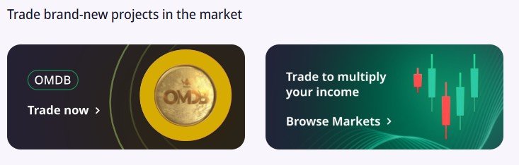 Explore Crypto Start-Ups Approaching the Market